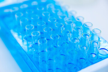 Test tubes with blue chemicals liquid at workplace in laboratory.