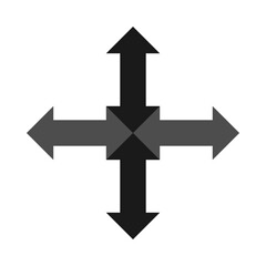 Four Double Arrows Grey Cross Icon