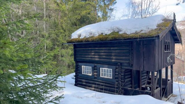 Norwegian house with a grassy roof in the winter forest. Traditional stabbur. 