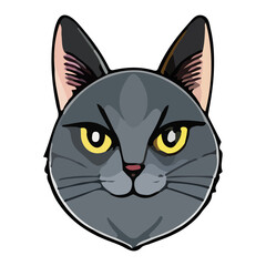 Cartoon cat character. Kitten vector breed.