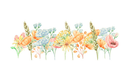 Watercolor field flowers. Wildflowers. Romantic gentle illustration. Floral design. Meadow plants. Idea for greeting, packing, wrapping paper, package, backgrounds, cards, decor.