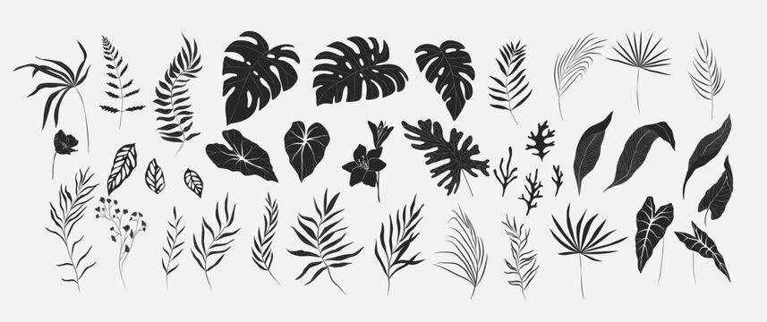 Set Of Floral Tropical Branch Of Palm And Flowers In Silhouette And Line Style. Hand Drawn Elegant Exotic Leaves For Invitation Save The Date Card Design. Botanical Trendy