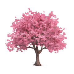 Fototapeta premium sakura tree isolated on white