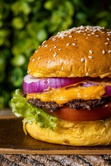 Delicious, freshly-prepared hamburger with melted cheese, crisp lettuce, and juicy tomato slices
