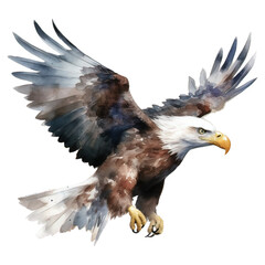 Obraz premium american eagle isolated on white background