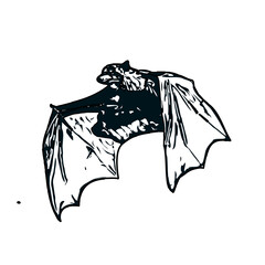 Fototapeta premium black and white sketch of a bat with transparent background