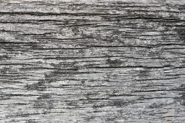 Fototapeta premium Gray wood background texture. Abstract wooden backdrop with space for text