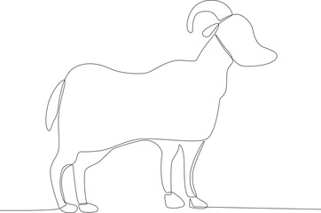 A horned goat for sacrifice. Eid al-Adha one-line drawing