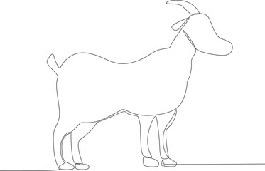A goat for sacrifice on Eid al-Adha. Eid al-Adha one-line drawing