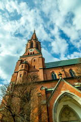 Fototapeta premium Frühlingswanderung im Bayerischen Wald durch die Kurstadt Regen - Bayern - Deutschland 