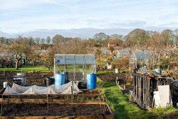 A view over an allotment in winter, including greenhouse, water barrels and raised beds © Hazel Plater/Wirestock Creators