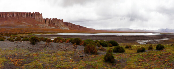 Panoramic of the Salar de Tara, Atacama, Chile