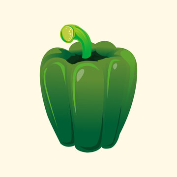 fresh vegetable green paprika vector illustration