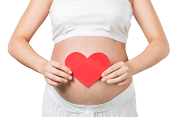 Pregnant mother showing her belly and holding a mini heart