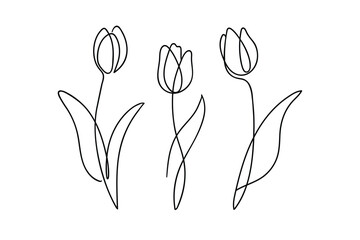 Tulip flower continuous line drawing. One line art.