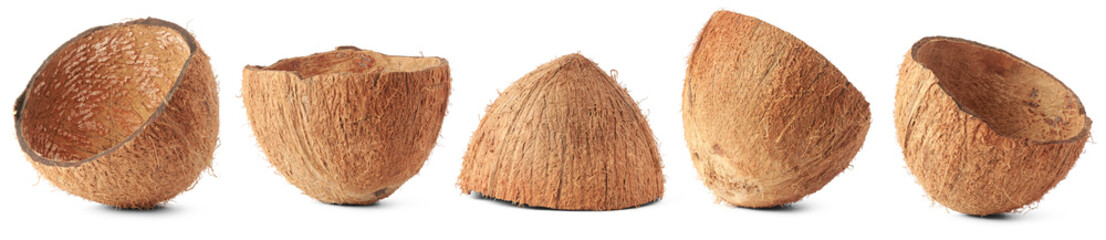 set of coconut fruit shell isolated, commercially important strong and durable fibrous material,...