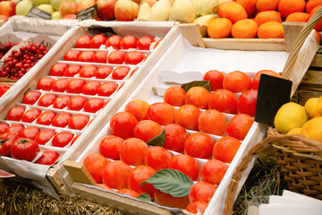 Ripe persimmons on the counter in the market or in the supermarket, a full basket of tangerines,...