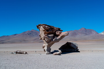 Stone tree in the bolivian altiplano