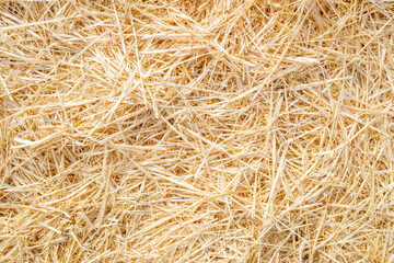Natural dry straw background for designs