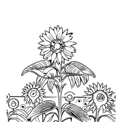 Beautiful sunflower Coloring Book, Sunflower Coloring page, sunflower line art, Outline flowers, Doodles in black and white, Flowers Coloring Book,Vector illustration.