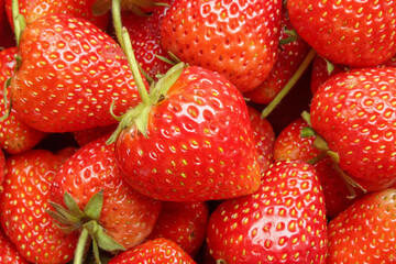 Fresh organic red strawberry fruit background