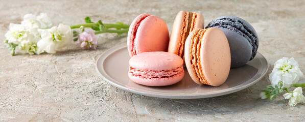  plate with macaroons on light table