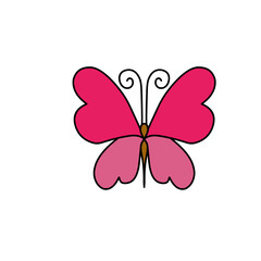 butterfly animal