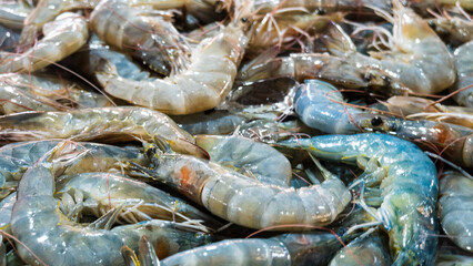 Thai Seafood Prawns Shrimp