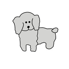 dog pet animal