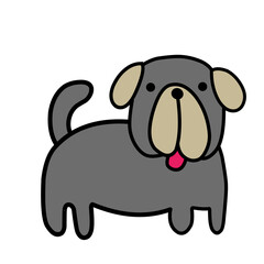 dog pet animal