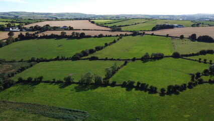Obraz premium Green farm fields of Ireland lined with trees, top view. Green Irish landscape.