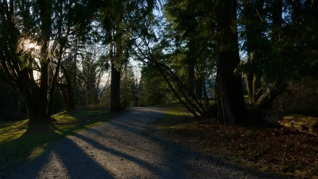 Hiking Trail on top of Burnaby Mountain during Sunny Spring Season Sunset. Vancouver, British Columbia, Canada.