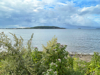 The coast of Patroclus (Patrokl)  Bay in Vladivostok in summer