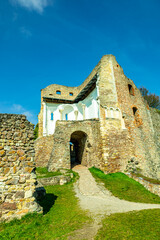 Fototapeta premium Frühlingswanderung durch wunderschöne Donaudelta bei Donaustauf - Bayern - Deutschland 