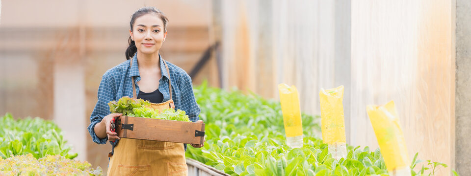 Basket with fresh vegetables, Asian farmer woman holding wooden box full of raw vegetables in the local farm or green house of Thailand, organic food by harvest in agriculture business concept