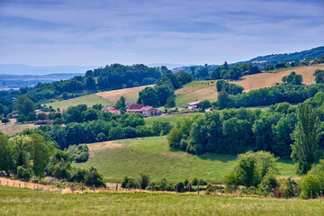Obraz premium Countryside, farmland and forest - close to Lyon, France. A series of photos of countryside, farmland and forest close to Lyon, France.