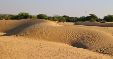 Thar desert Rajasthan India Sand desert under bluy sky at sunny day