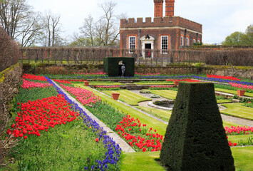 Small Country ornamental garden full of brightly coloured tulips which are in full bloom.  There is an old red brick house in the background - Powered by Adobe