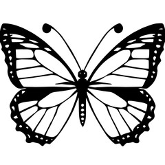 Coloring page of butterfly on white background