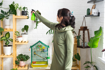 A woman sprays from a spray gun home plants from her collection, grown with love on shelves in the interior of the house. Home plant growing, green house, water balance, humidification