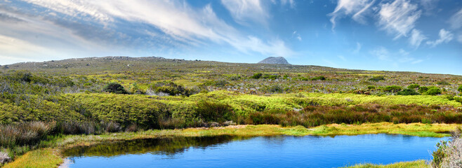 Obraz premium The wilderness of Cape Point National Park. The wilderness of Cape Point National Park, Western Cape, South Africa.