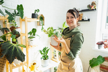 Woman plant breeder hold in hand home plants in a pot from her collection at home on the shelves. Search for pests, care, watering, fertilizers. Home crop production, portrait looks into frame © Ольга Симонова