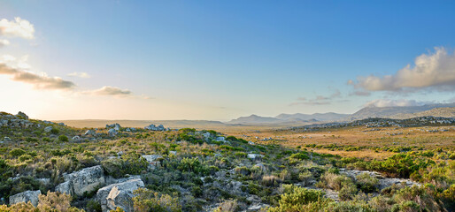 Obraz premium The wilderness of Cape Point National Park. The wilderness of Cape Point National Park, Western Cape, South Africa.