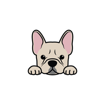 Cute french bulldog puppy cream color cartoon isolated on a white background, vector illustration