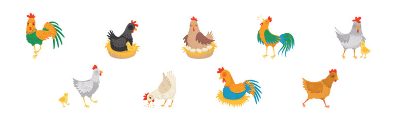 Hen and Cockerel with Chicks and Hay Nest Vector Set