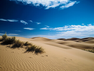 Fototapeta na wymiar Grassy Desert Sand Dunes | Generative AI
