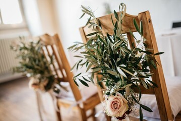 a bunch of small plantes sitting on top of a wooden chair