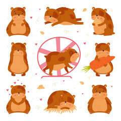 Cute hamster in everyday activities set. Funny brown pet rodent eating, sleeping and running in wheel cartoon vector illustration