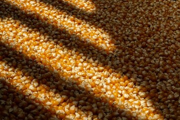 Top view of a wooden table scattered with corn kernels