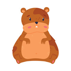 Cute funny little pet hamster, front view cartoon vector illustration